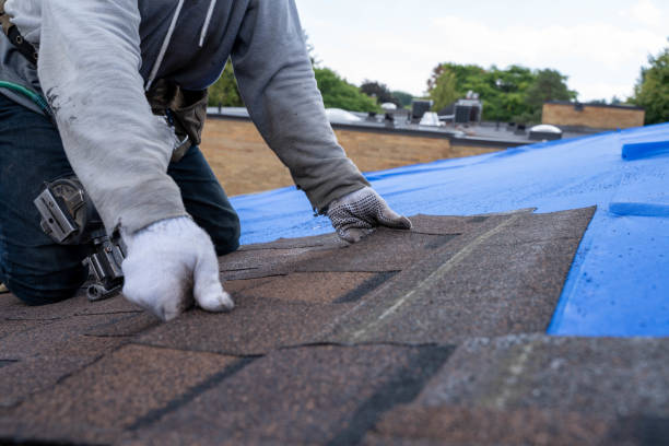 Professional Roofing Contractor in Gananda, NY